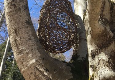 Tour Wandern Saint-Jean-en-Royans - Echarasson  - Photo
