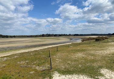 Percorso Corsa a piedi Fouesnant - Des dunes à la mer blanche - Photo