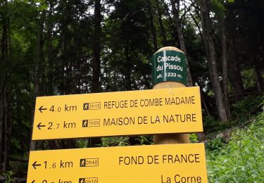 Tocht Stappen Le Haut-Bréda - cascade du Pissou - Photo