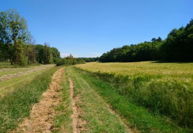 Randonnée Marche Saint-Épain - Saint-Epain - 14.3km 140m 3h05 - 2020 05 21 - Photo