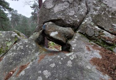 Trail Walking Fontainebleau - Rocher du Cuvier Châtillon - Photo