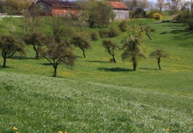 Percorso A piedi Poppenhausen - Dietershausen Rundweg 2 - Photo