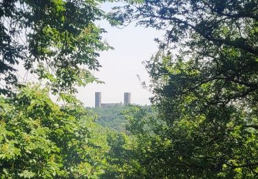 Tour Wandern Barr - 2020-05-16 Marche Acacias Spessbourg Andlau Mittelbergheim - Photo
