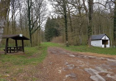 Trail Walking Virton - Balade à Rabais depuis la chapelle du Bonlieu - Photo