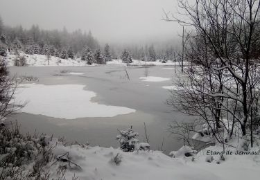 Tour Schneeschuhwandern Cornimont - Raquettes Chalet des Charmes - Photo