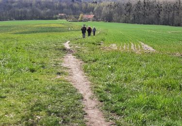 Tour Wandern Lobbes - Mont ste Genevieve 17 04 21 - Photo