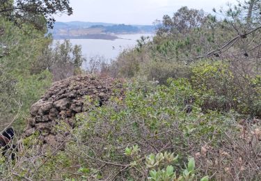Trail Walking Miramas - Miramas le vieux.j.f.marie.jacky - Photo