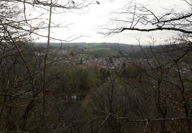 Trail Walking Houyet - Custinne 101120 - Photo