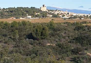 Tocht Stappen Châteauneuf-du-Pape - Châteauneuf du pape  - Photo