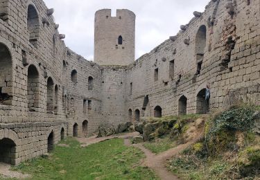 Tour Wandern Mittelbergheim - 2023-02-25 Marche Châteaux Andlau Spessbourg Landsberg - Photo