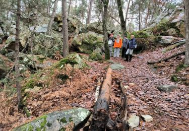 Tocht Stappen Fontainebleau - huit routes 22 décembre 2023 - Photo