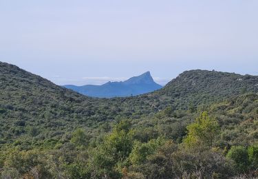 Percorso Marcia Garrigues - Garrigues-boisParis-grotte - Photo