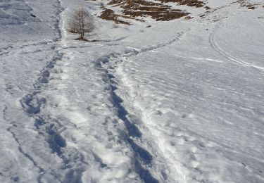 Trail Snowshoes Montgenèvre - Montgenevre Raquettes - Photo