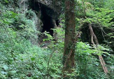 Tocht Stappen Ham-sur-Heure-Nalinnes - Jamioulx OT Walkers - Photo