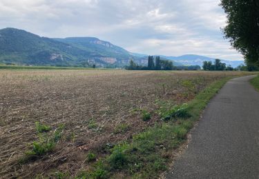 Trail Walking Lagnieu - Lagnieu  - Photo