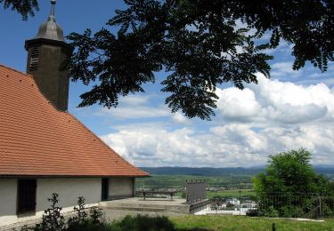 Excursión A pie Eichstetten - Steinkauzpfad - Photo