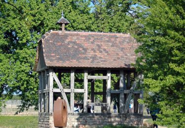 Tour Zu Fuß Leimen - Rundwanderweg Leimen 6: Gauangelloch-Weg - Photo