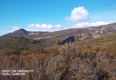 Excursión Senderismo Aubagne - Eoures Garlaban - Photo