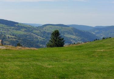 Tour Wandern Woll - Lac de Lispach, la Roche des Bioquets, La Tête de Grouvelin - Photo