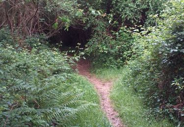 Tocht Noords wandelen Ibos - bergos nordique fait - Photo