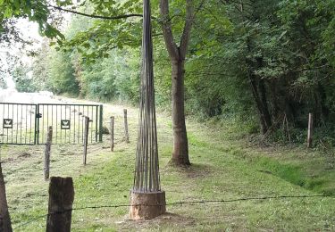 Tour Wandern Gesves - gesves ac - Photo