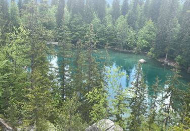 Trail Walking Passy - Plaine Joux, Barnus, le lac vert - Photo