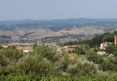 Trail On foot Gambassi Terme - Dolce campagna, antiche mura 13 - Photo