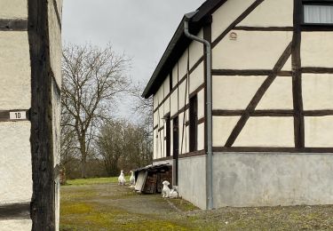 Tour Wandern Somme-Leuze - Waillet - Photo