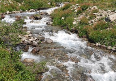 Tour Wandern Bonneval-sur-Arc - le Duis - Mumu - Photo