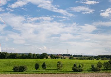 Excursión A pie Paderborn - Dahler Aussichtstour - Photo