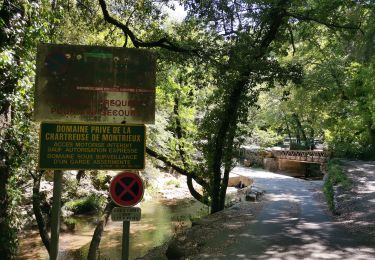 Tour Wandern Méounes-lès-Montrieux - les aiguilles de valbelle  - Photo