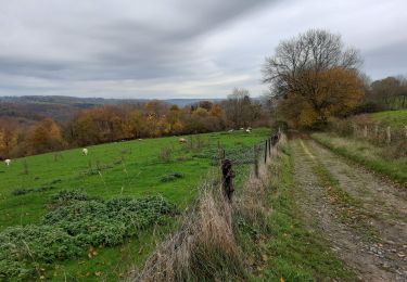 Tocht Stappen Aywaille - Martinrive  - Photo