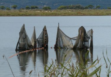 Trail Walking Gruissan - Gruissan, Ile st Martin 01 - Photo