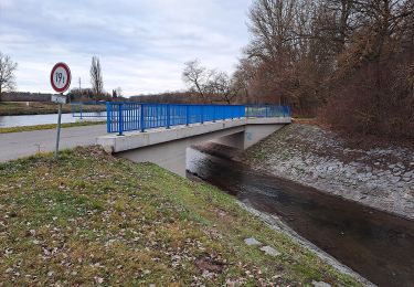 Tour Zu Fuß Kostomlaty nad Labem - [Ž] Kostomlaty nad Labem - ústí Vlkavy - Photo