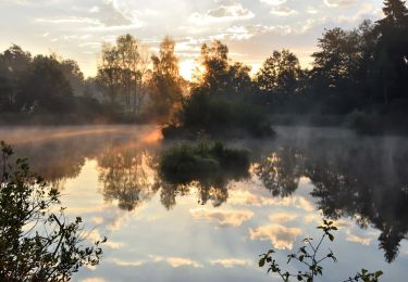 Excursión A pie Pfäffikon - Pfäffikon - Effretikon - Photo