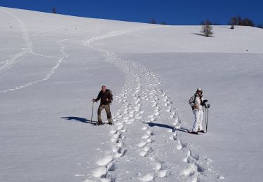 Tocht Sneeuwschoenen Beuil - raquette tour du Garnier - Photo