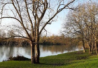 Excursión Senderismo Conflans-sur-Seine - au départ de CONFLANS sur SEINE - Photo