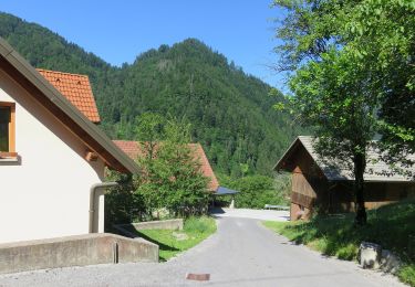 Tour Zu Fuß Eisnern - 123 ~ Pot kurirjev in vezistov NOV Slovenije - Photo