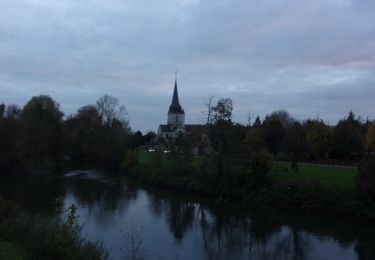 Tour Wandern Léry - 20241112-lery - Photo