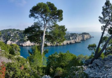 Percorso Marcia Cassis - Calanques de CASSIS  port miou en vau port pin la cacau - Photo