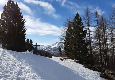 Randonnée Raquettes à neige Névache - Laval Ricou Nevache  - Photo