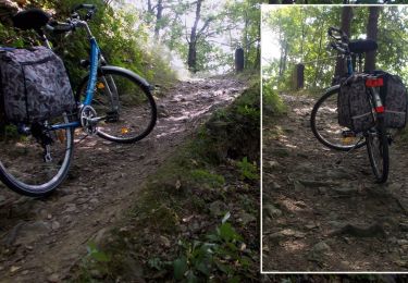 Tour Zu Fuß Dippoldiswalde - Rundweg Malter - Photo