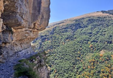 Randonnée Marche Rabou - Rabou Tour du Puy - Photo