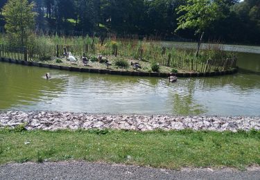 Tour Wandern Forges-les-Eaux - Forges les Eaux.Vers la fontaine de la Chevrette  - Photo