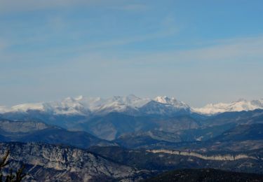 Trail Walking Bézaudun-les-Alpes - Bezaudun L'Estellier - Photo