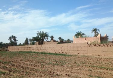 Tour Auto Tarmigt ترميڭت - Ouarzazate M'Hamid  - Photo