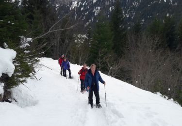 Randonnée Marche Châtel - chatel - Photo