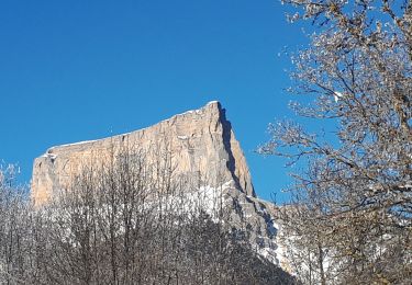 Trail Walking Clelles - Les Faisses du Gėant - Photo