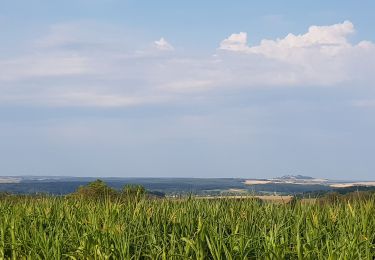 Trail Road bike Saint-Clément - sortie route 26072019 Baccarat Domptail  - Photo