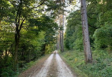 Randonnée Marche Saint-Mihiel - St Mihiel - forêt domaniale de Gaumont - Photo